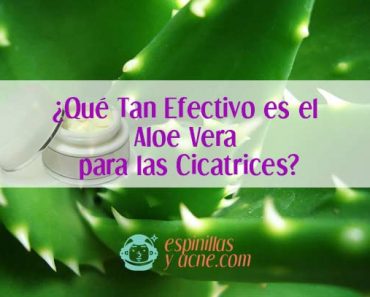 Aloe vera para tratar cicatrices